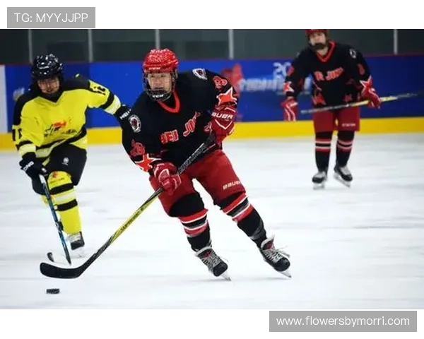 应对B体育国际官网入口登录异常的应急处理方案