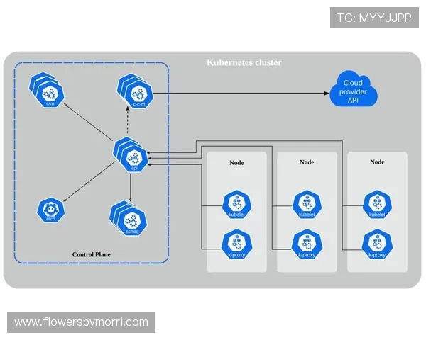 开运体育介绍体育行业的创新技术与数字化转型案例