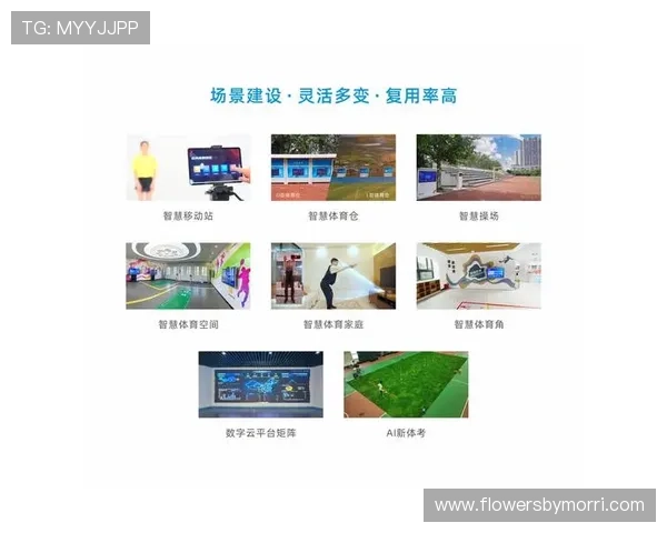 快鱼体育平台如何实现青少年体育培训的个性化与智能化管理