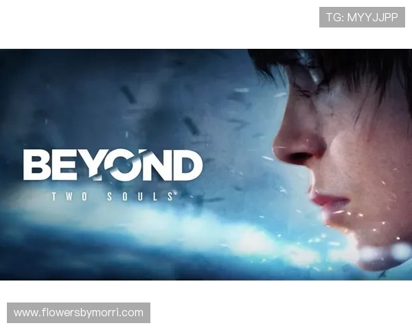 开云登录下载引领时尚新潮流，用户体验全面升级