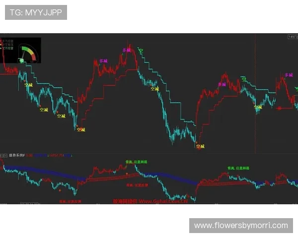 杏彩体育如何利用数据分析提升投注策略实现稳健盈利的方法