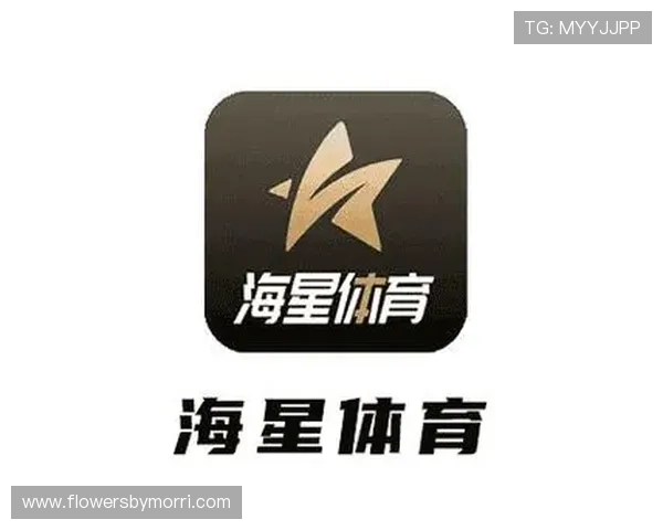 海星体育登录下载操作步骤详解,帮助新手用户快速掌握登录与使用技巧