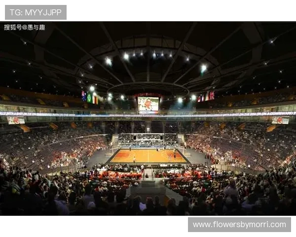 芒果体育平台积极布局国际体育赛事直播推动中国体育产业国际化进程