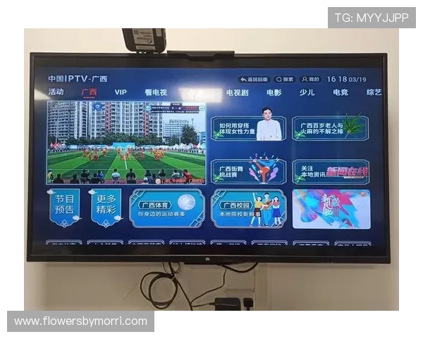 B体育入口提供的丰富赛事直播与投注服务全攻略