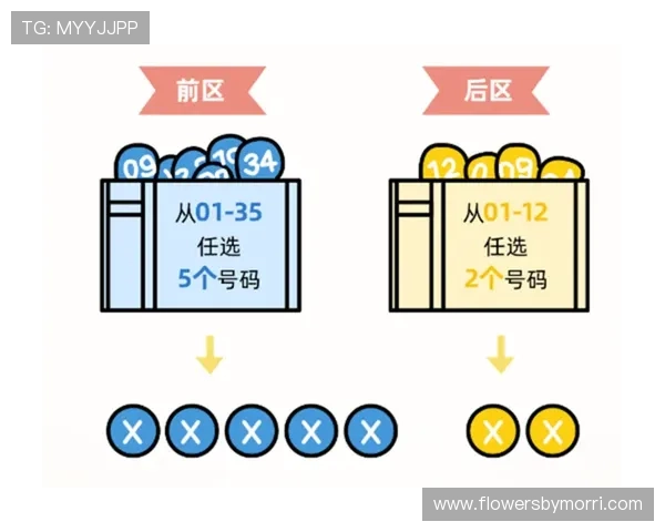 体彩足球竞彩今日赛事赛程安排及投注指南，全面掌握比赛信息提升投注成功率