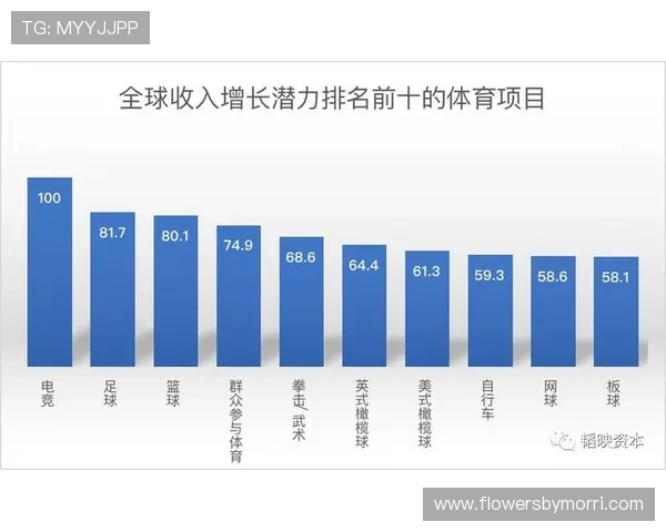 中国体育项目与电子竞技融合发展的现状与未来趋势分析