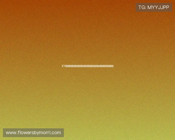 KY体育地址登录入口最新版本更新，带来更流畅的登录体验与丰富的体育内容
